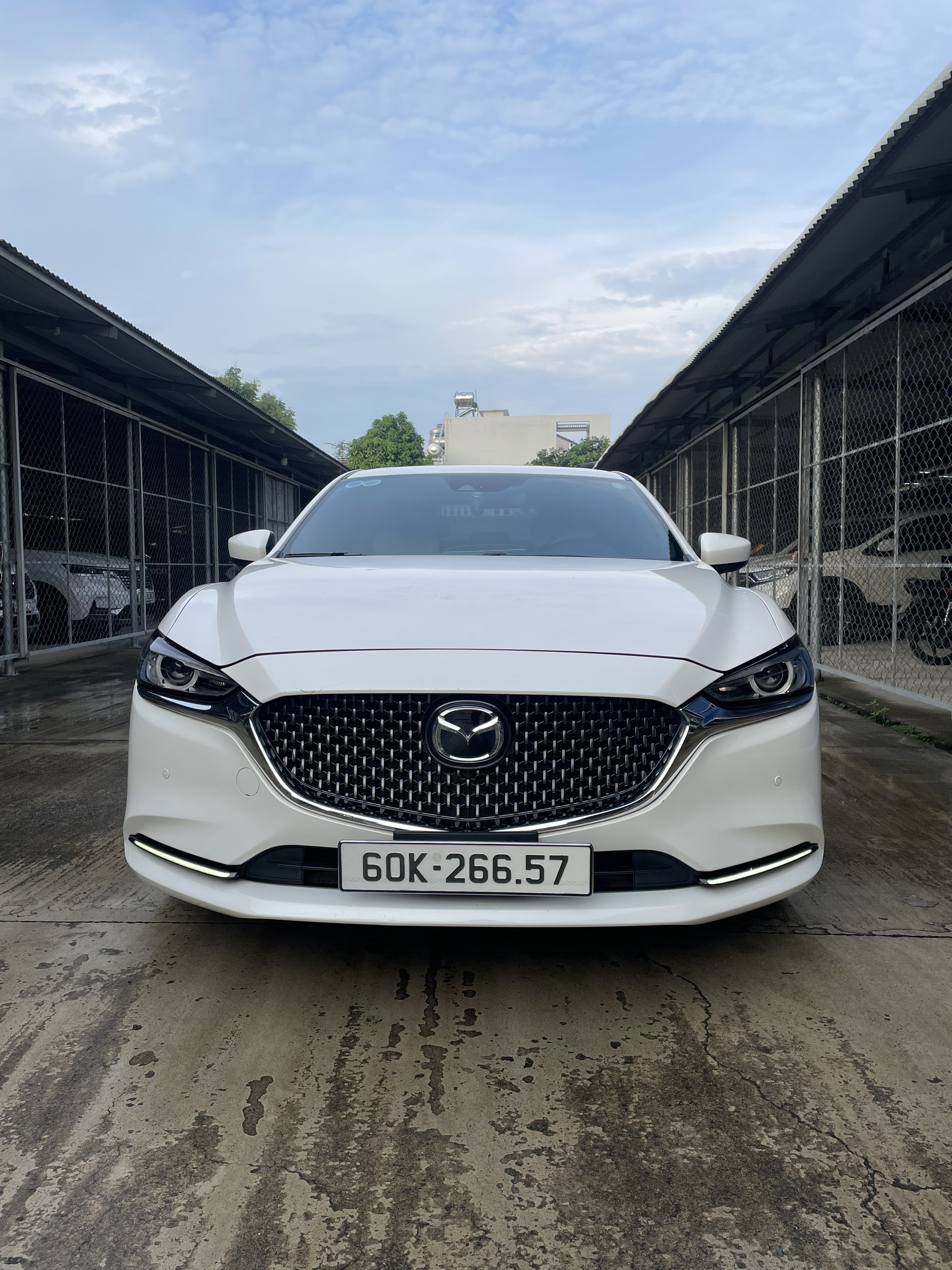 Xe 4 Chỗ Mazda 6